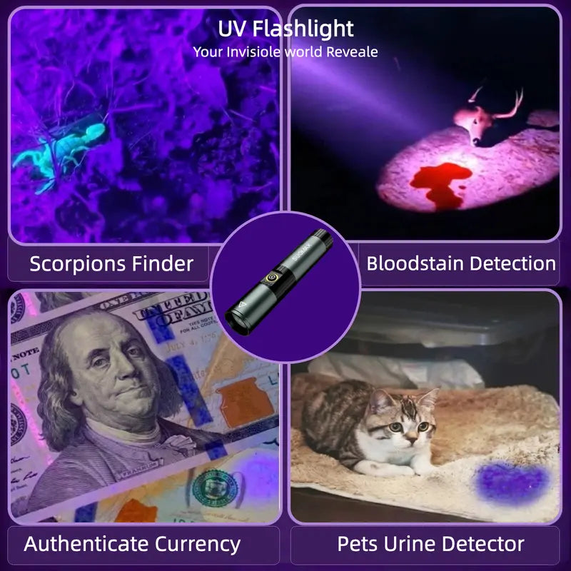 UV Flashlight Detection Uses